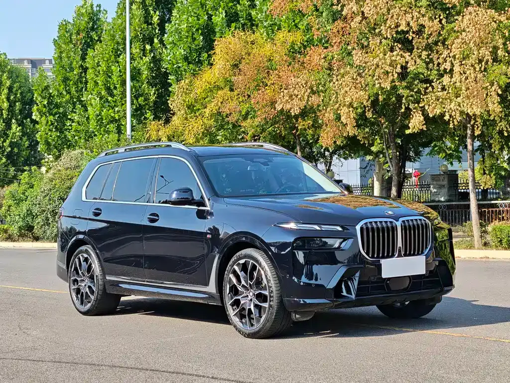BMW X7 — фото 10