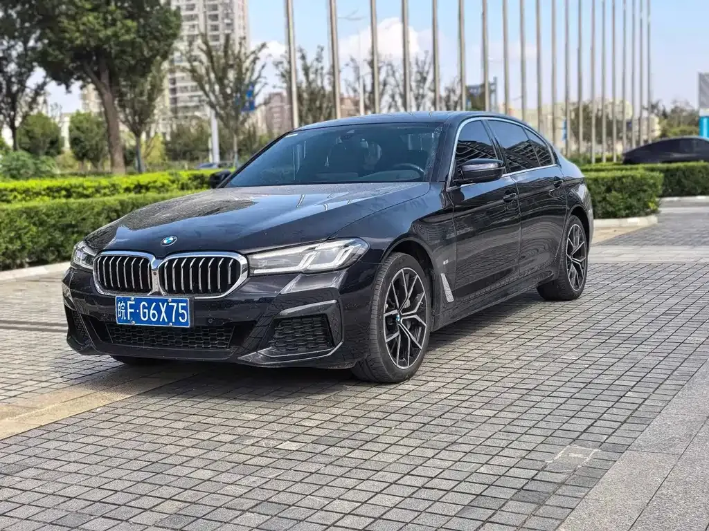 BMW 5 Series — фото 1