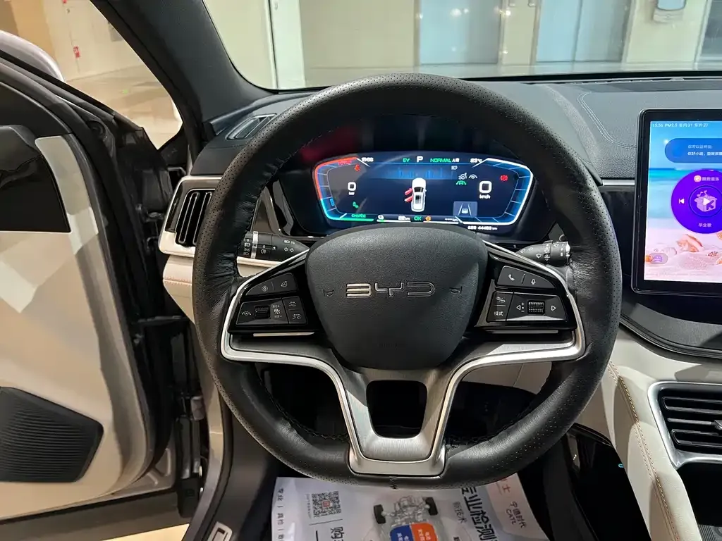 BYD PLUS New Energy — фото 2