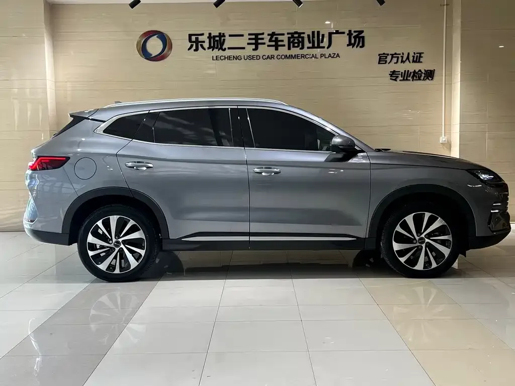 BYD PLUS New Energy — фото 5