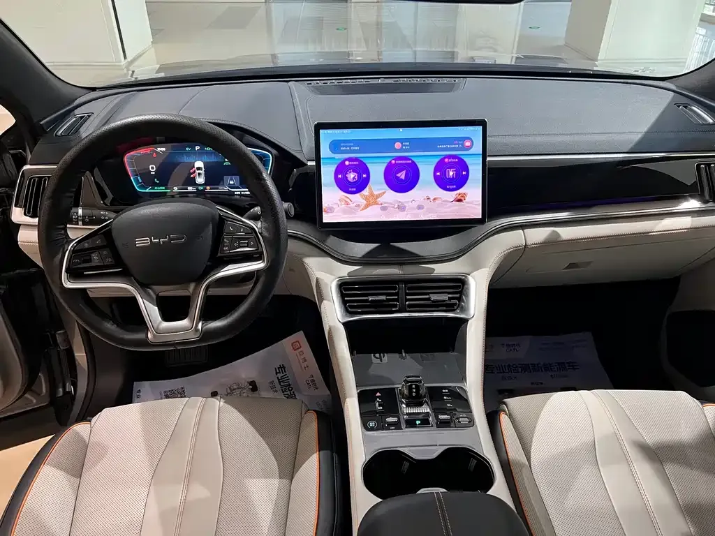 BYD PLUS New Energy — фото 10