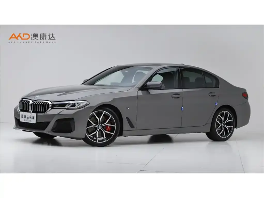 BMW 5 Series (Import) — фото 1