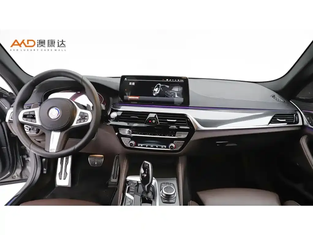 BMW 5 Series (Import) — фото 5