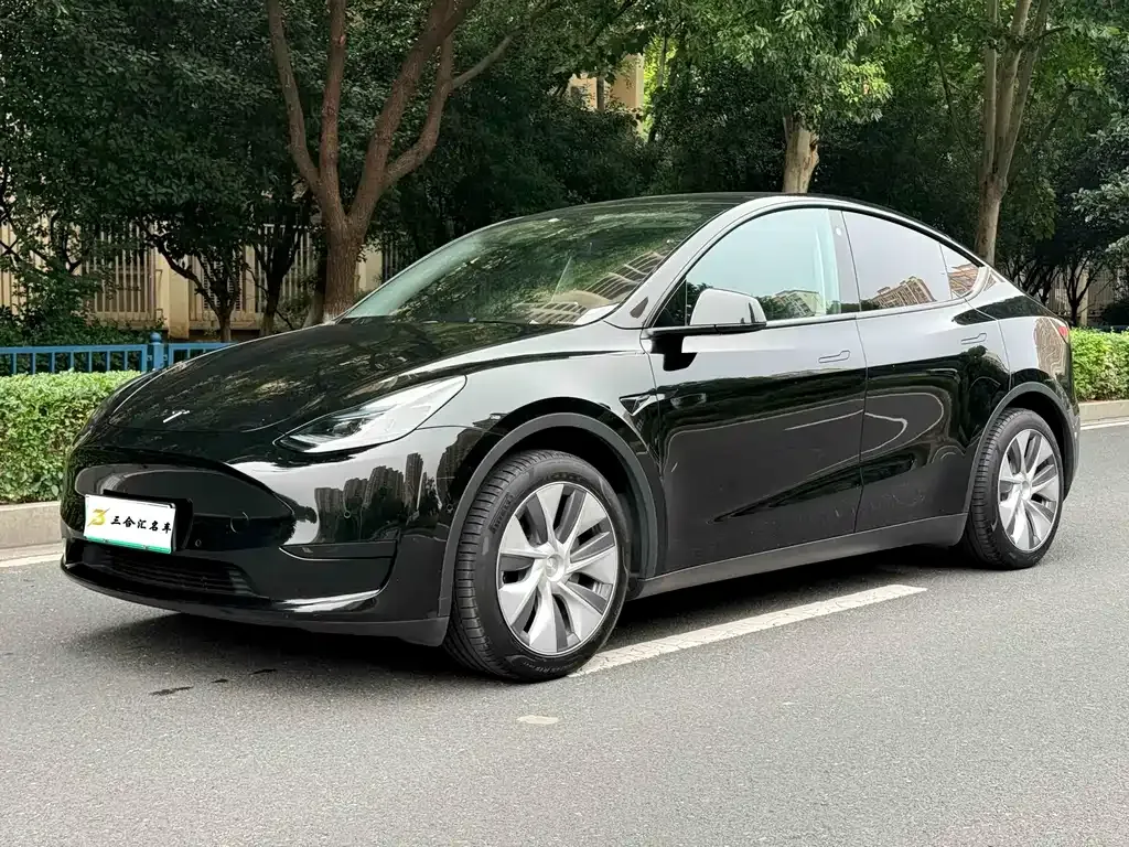 Tesla Model Y — фото 1