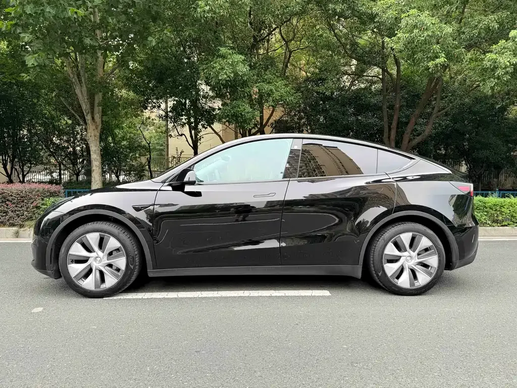 Tesla Model Y — фото 10
