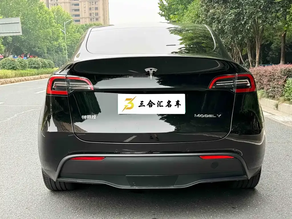 Tesla Model Y — фото 2