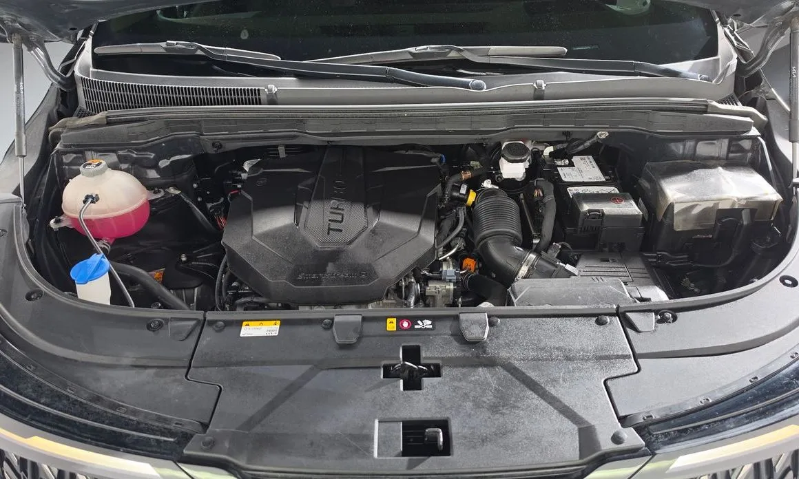 Kia Carnival — фото 10
