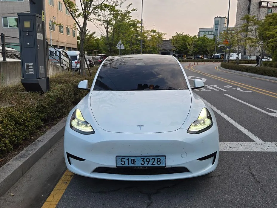 Tesla Model Y — фото 1