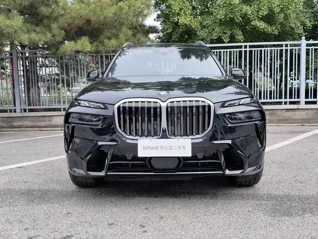 BMW X7 — фото 9