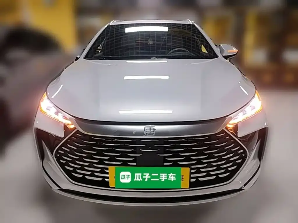 BYD Tang New Energy — фото 10