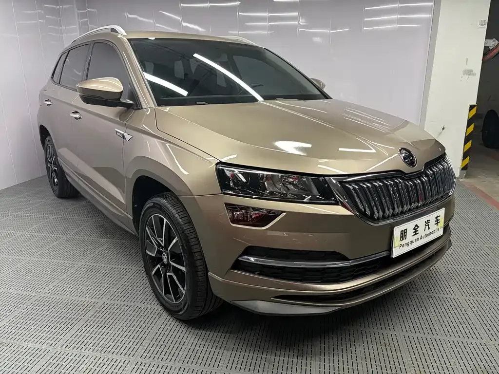 Skoda Karoq — фото 7