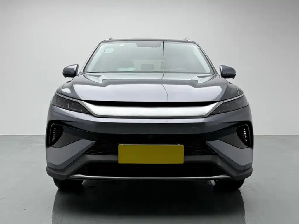 BYD Pro New Energy — фото 2