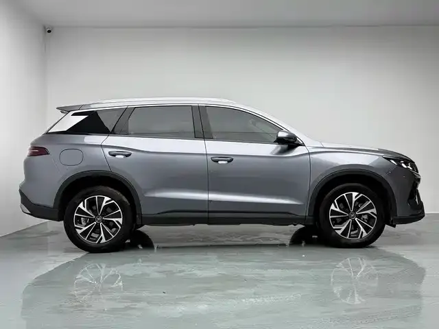 BYD Pro New Energy — фото 9