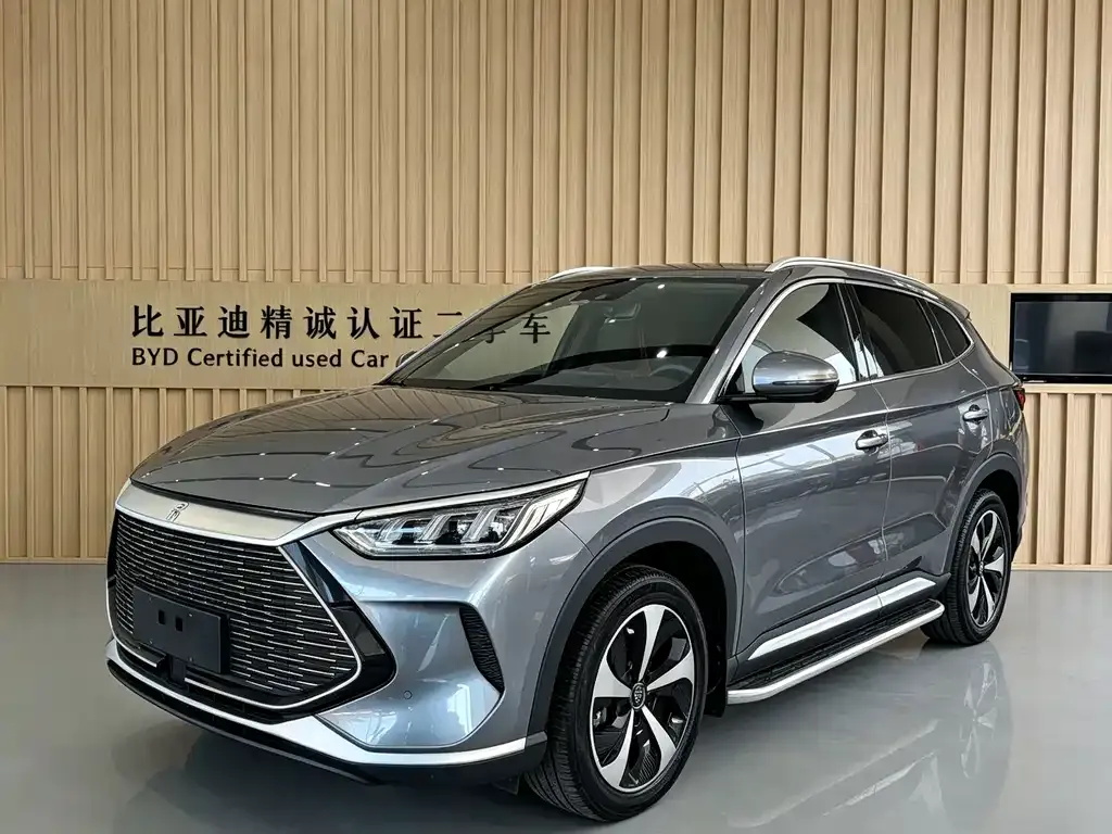 BYD PLUS New Energy — фото 1
