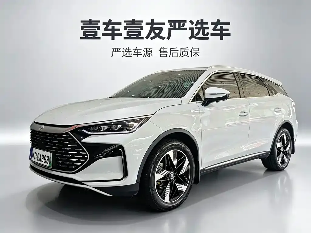 BYD Tang New Energy — фото 1