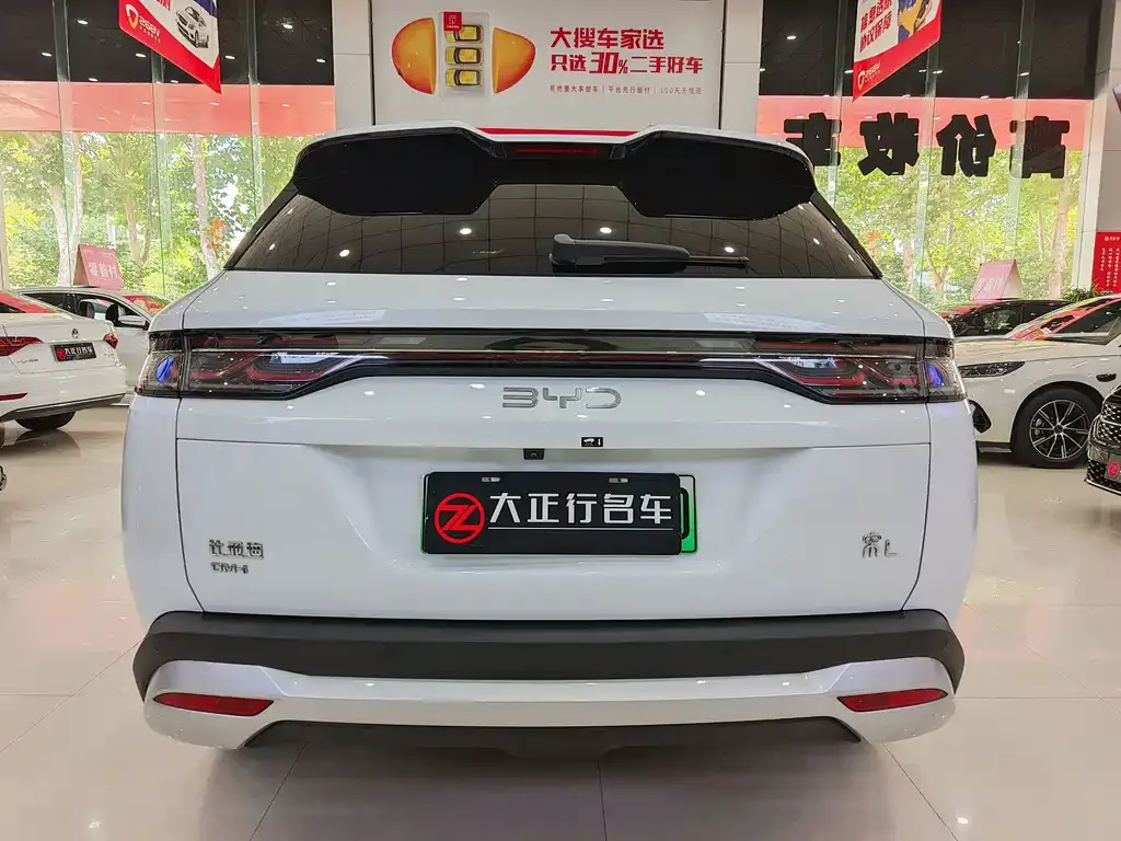 BYD L DM-i — фото 6