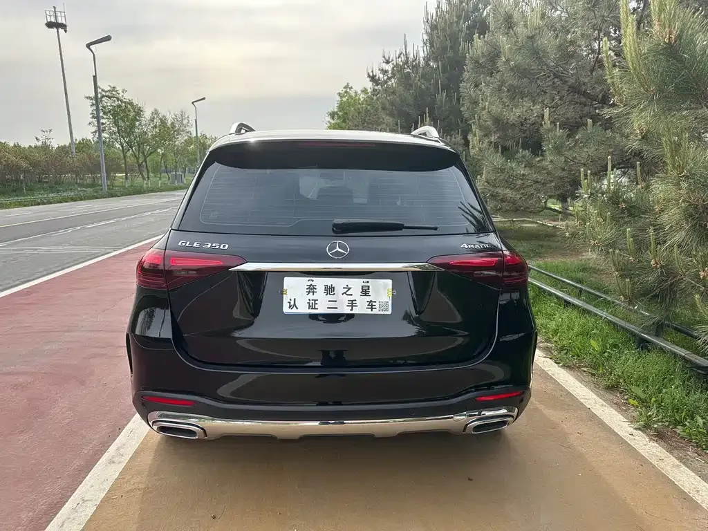 Mercedes-Benz GLE (Import) — фото 2