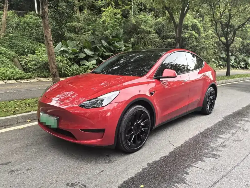 Tesla Model Y — фото 1