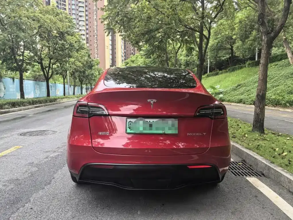Tesla Model Y — фото 3