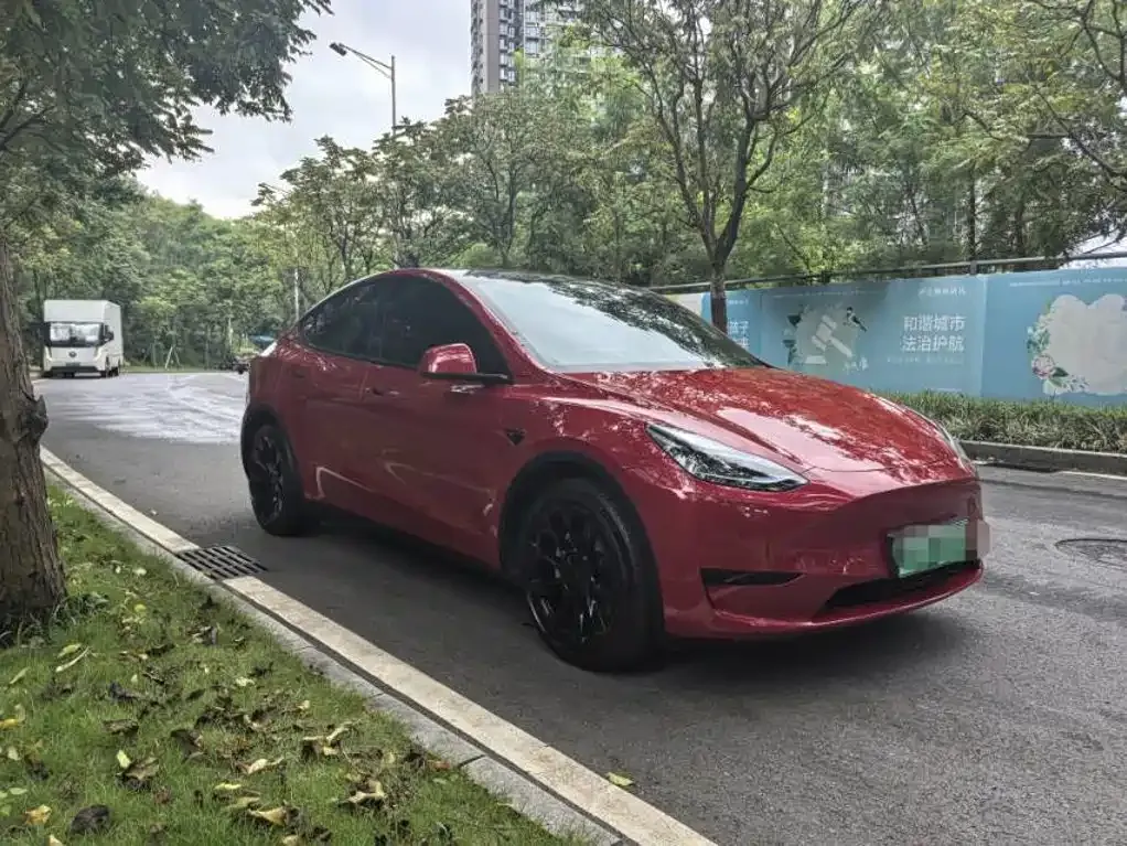 Tesla Model Y — фото 8