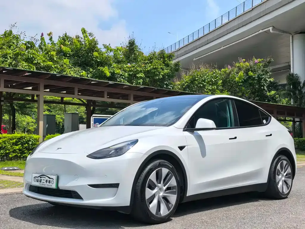 Tesla Model Y — фото 1