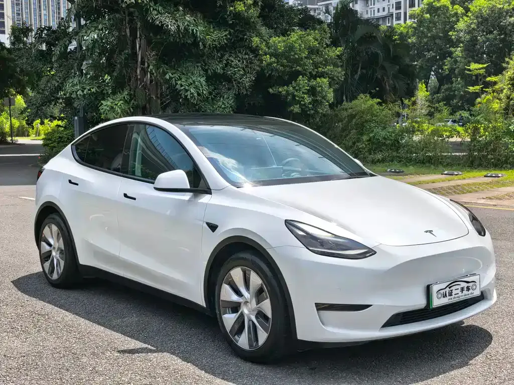 Tesla Model Y — фото 10