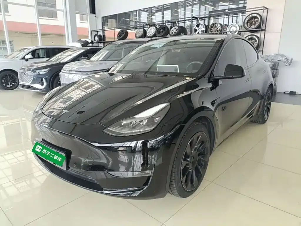Tesla Model Y — фото 6