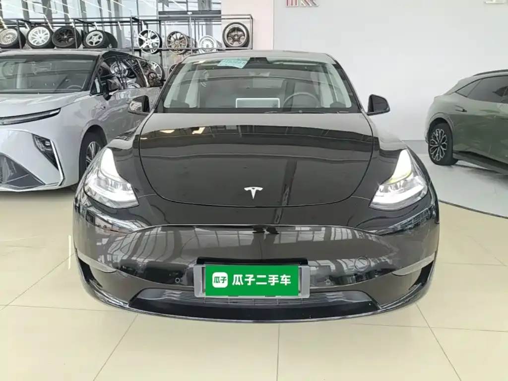 Tesla Model Y — фото 5