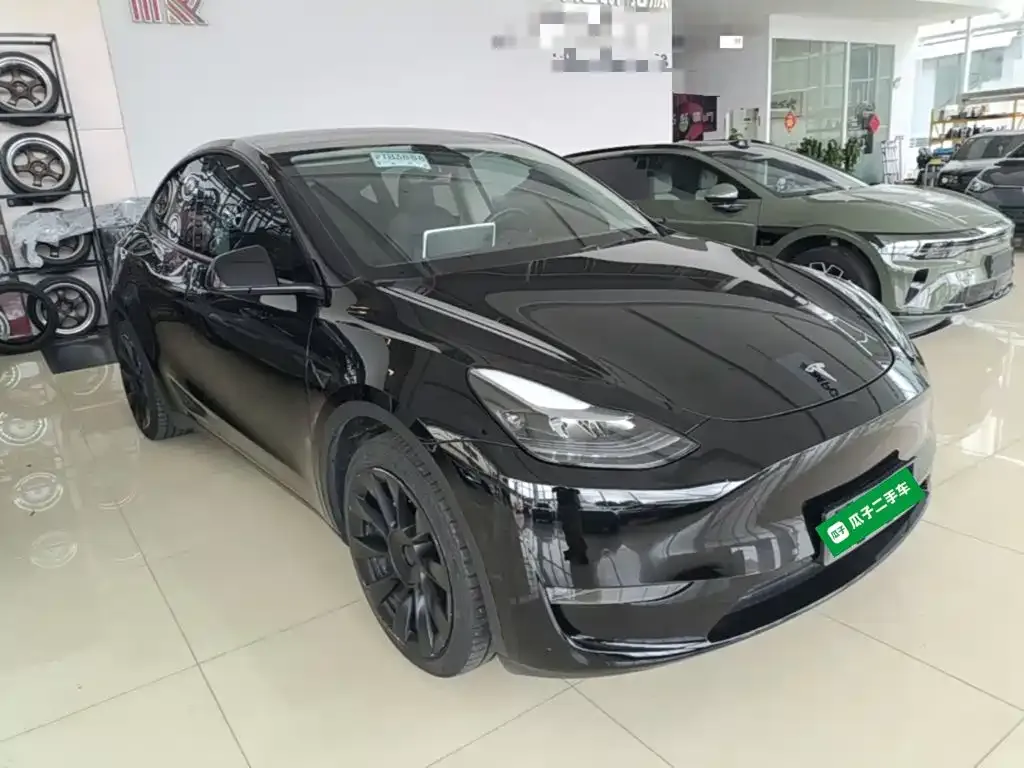 Tesla Model Y — фото 3