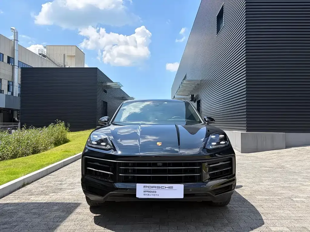 Porsche Cayenne — фото 10