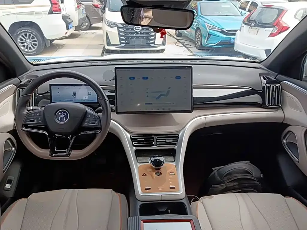 BYD Pro New Energy — фото 8