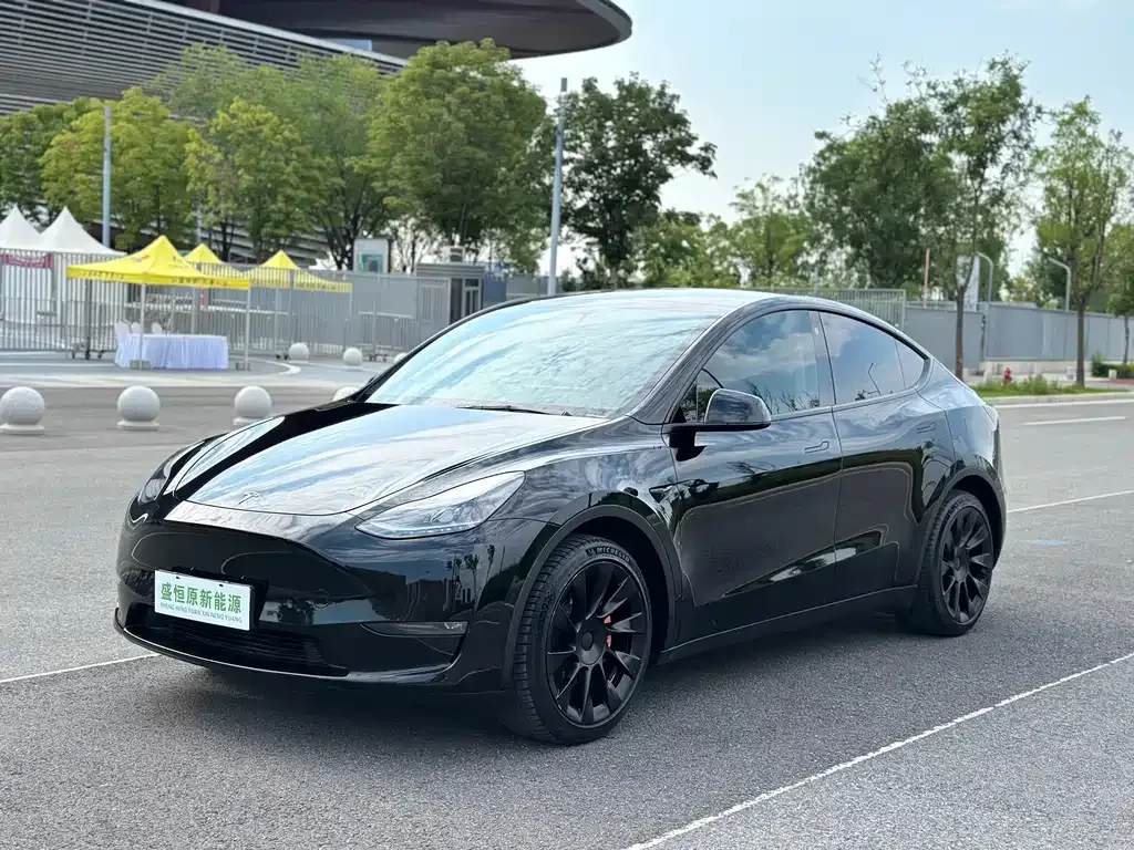 Tesla Model Y — фото 1