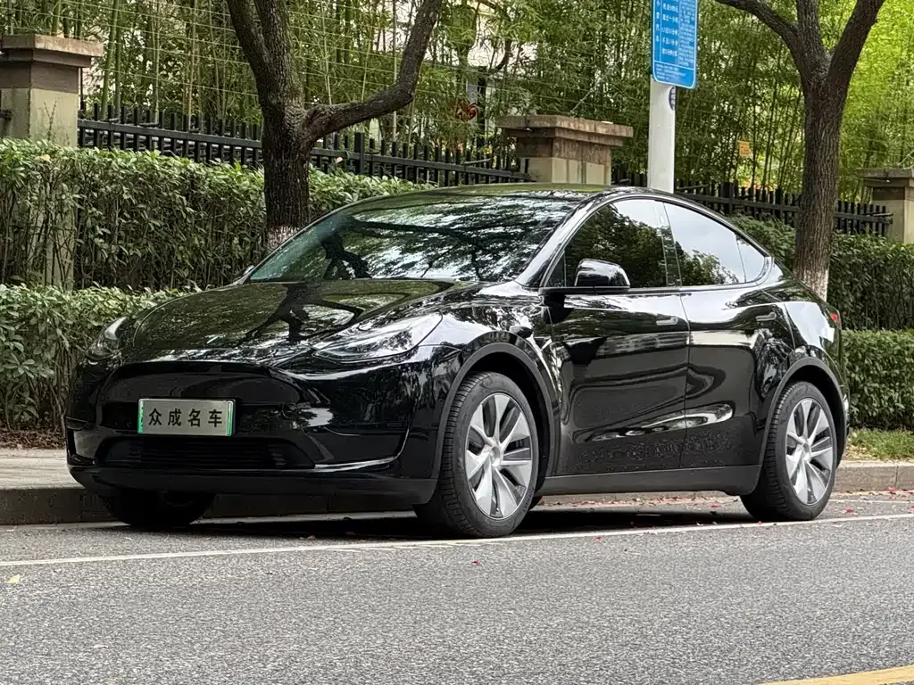 Tesla Model Y — фото 1