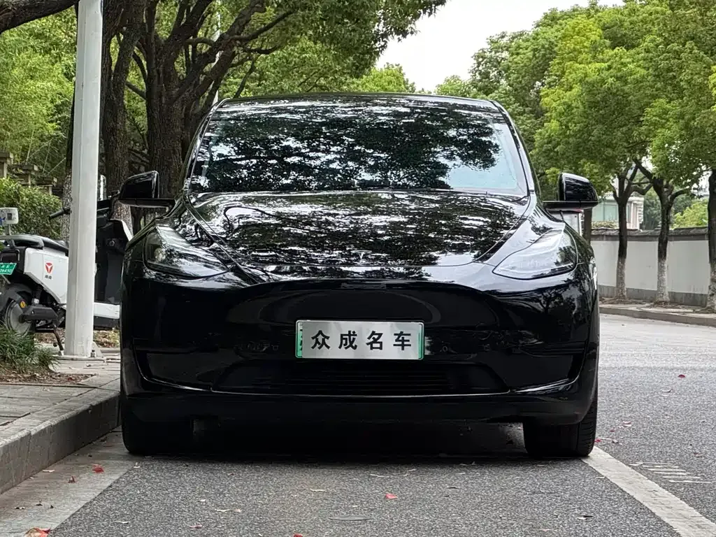 Tesla Model Y — фото 9