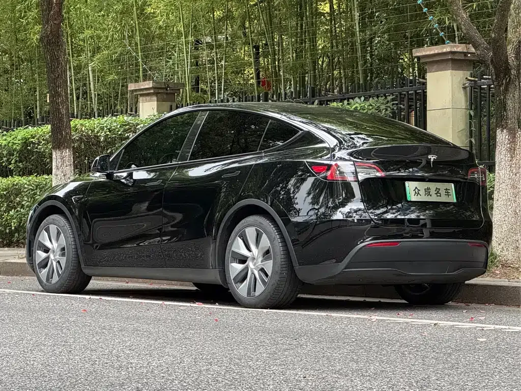 Tesla Model Y — фото 5
