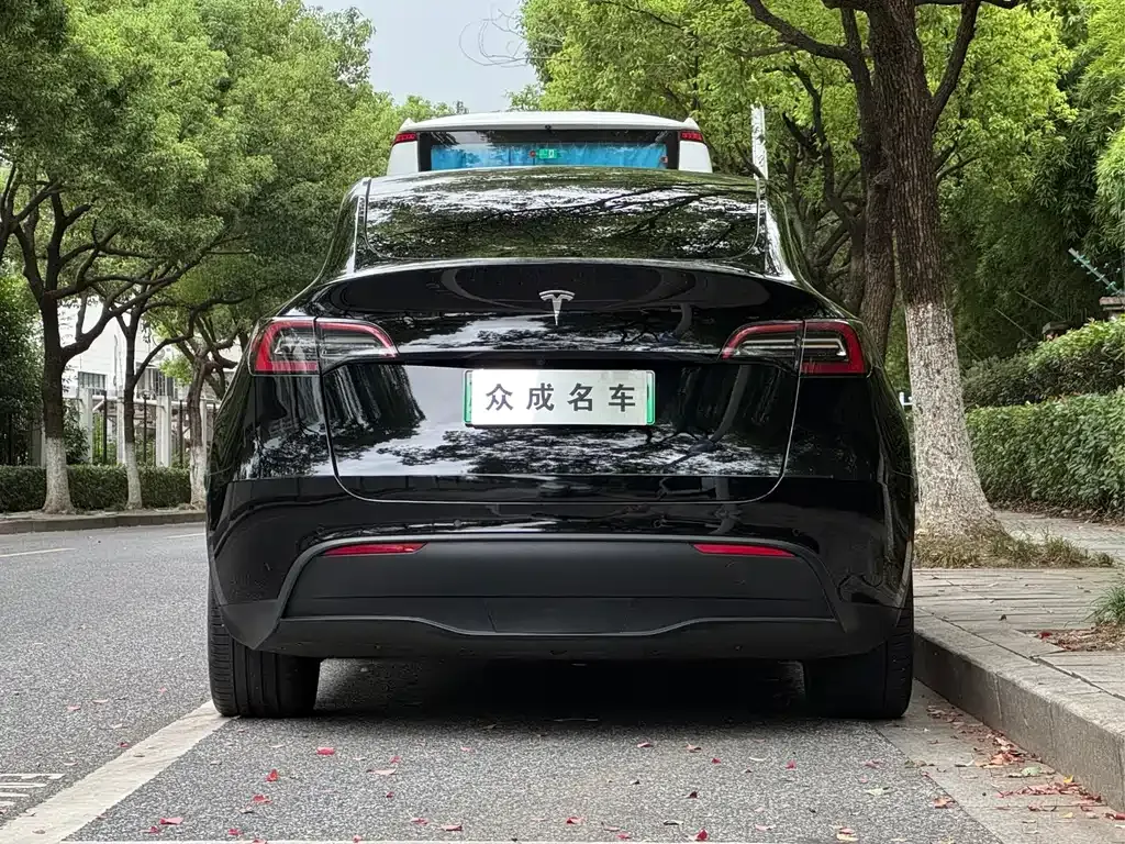 Tesla Model Y — фото 6