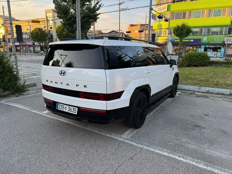 Hyundai Santafe — фото 10