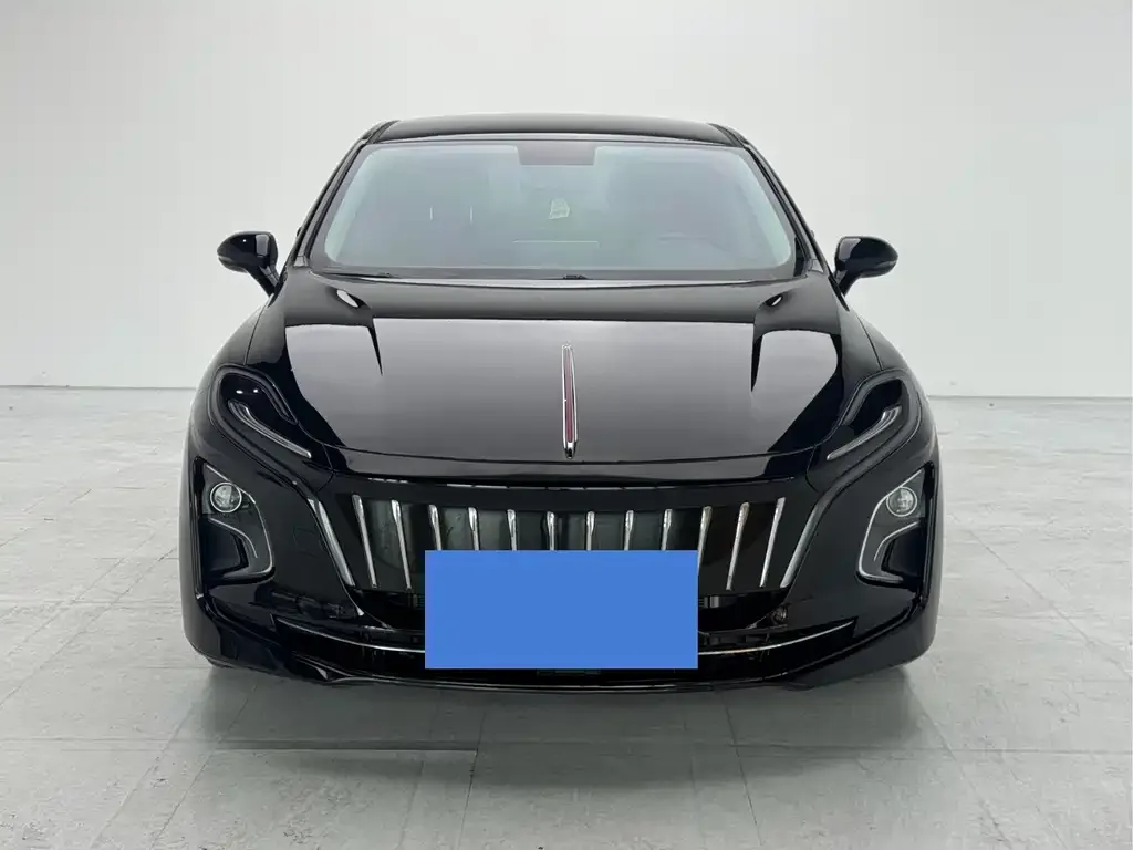 Hongqi E-QM5 — фото 1