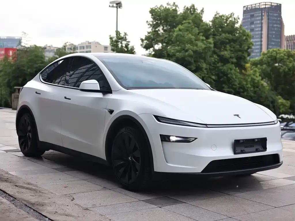 Tesla Model Y — фото 5