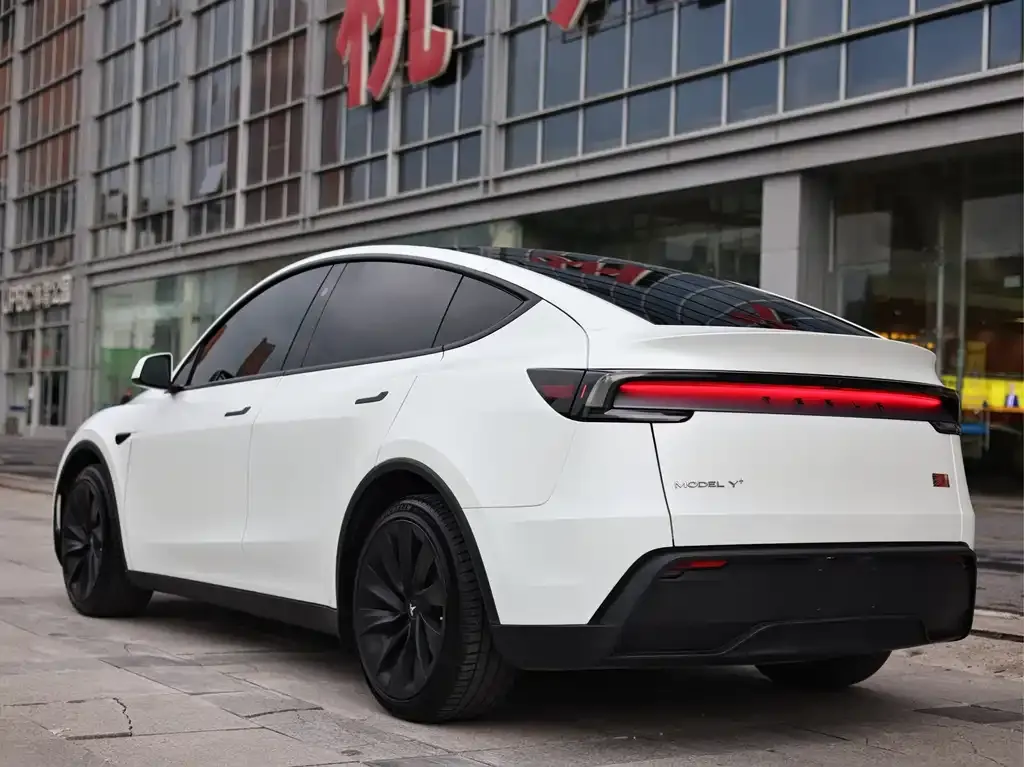 Tesla Model Y — фото 10