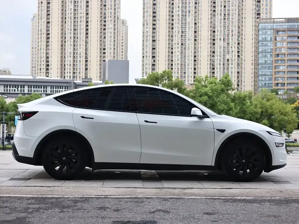 Tesla Model Y — фото 9