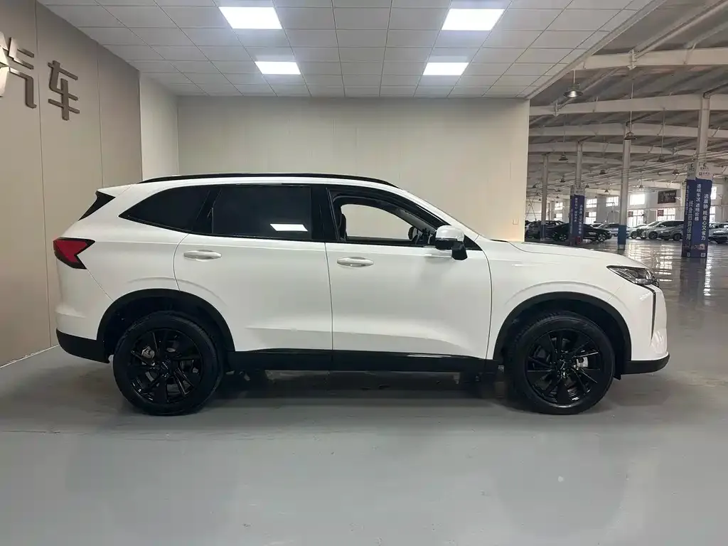 Haval H6 — фото 10