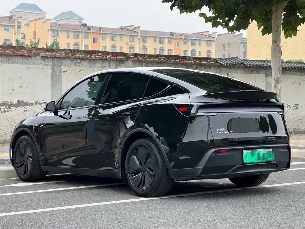 Tesla Model Y — фото 9