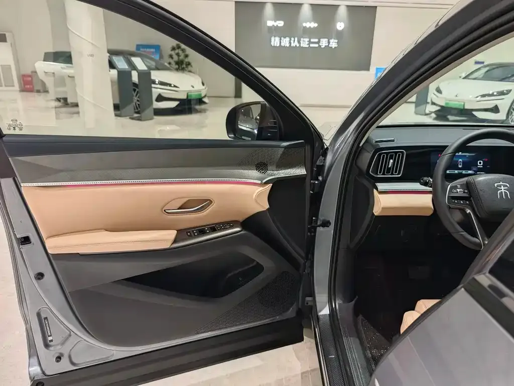 BYD Pro New Energy — фото 10