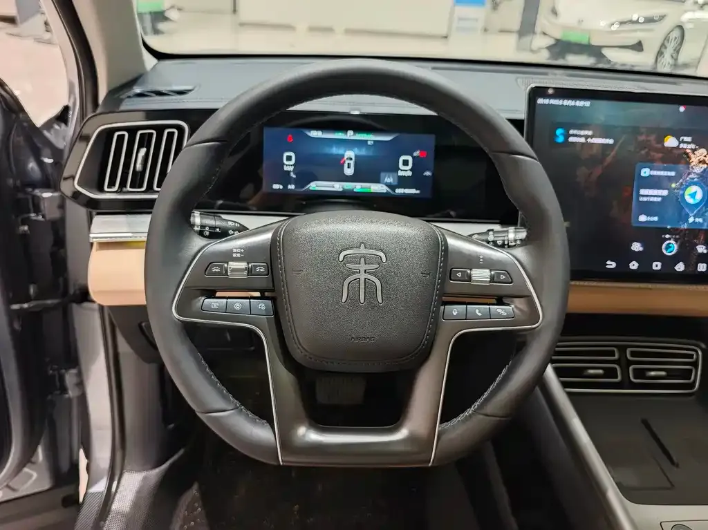 BYD Pro New Energy — фото 4