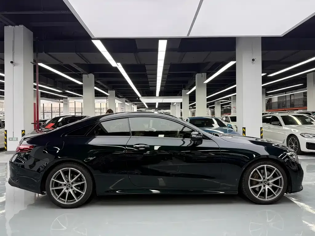 Mercedes-Benz E-Class (Import) — фото 10