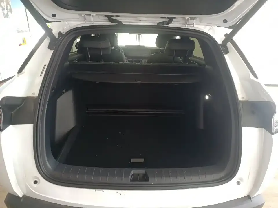 BYD L DM-i — фото 3