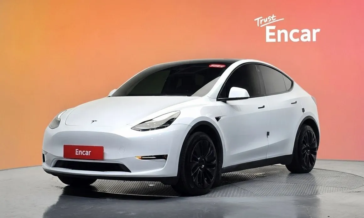 Tesla Model Y — фото 1
