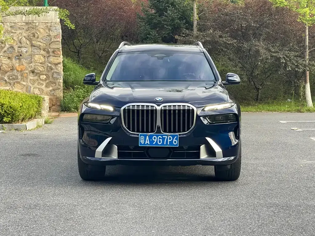 BMW X7 — фото 7
