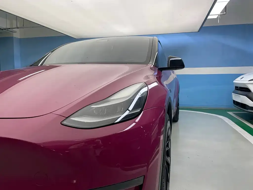 Tesla Model Y — фото 2